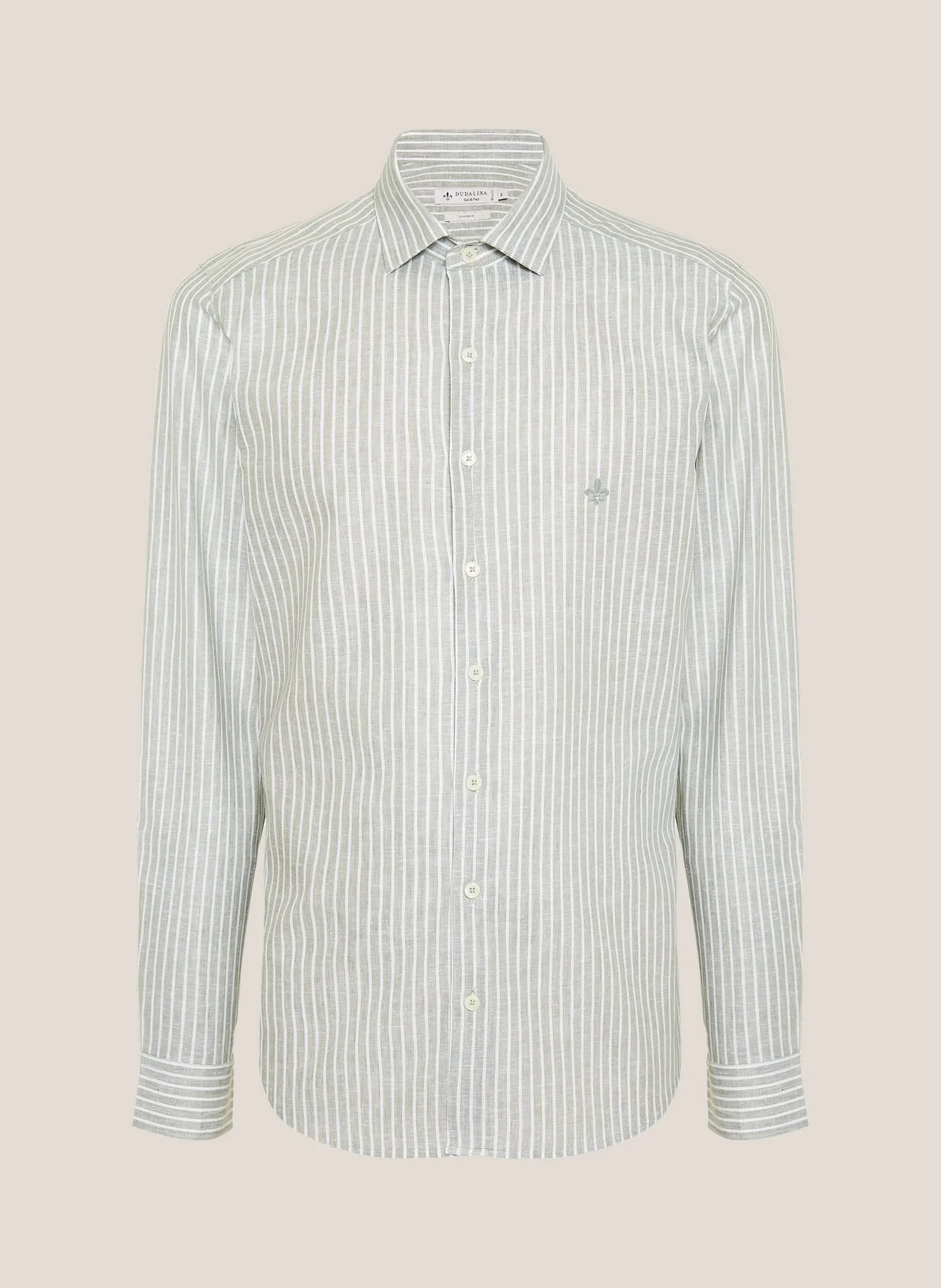 Camisa listrada verde-claro — frente